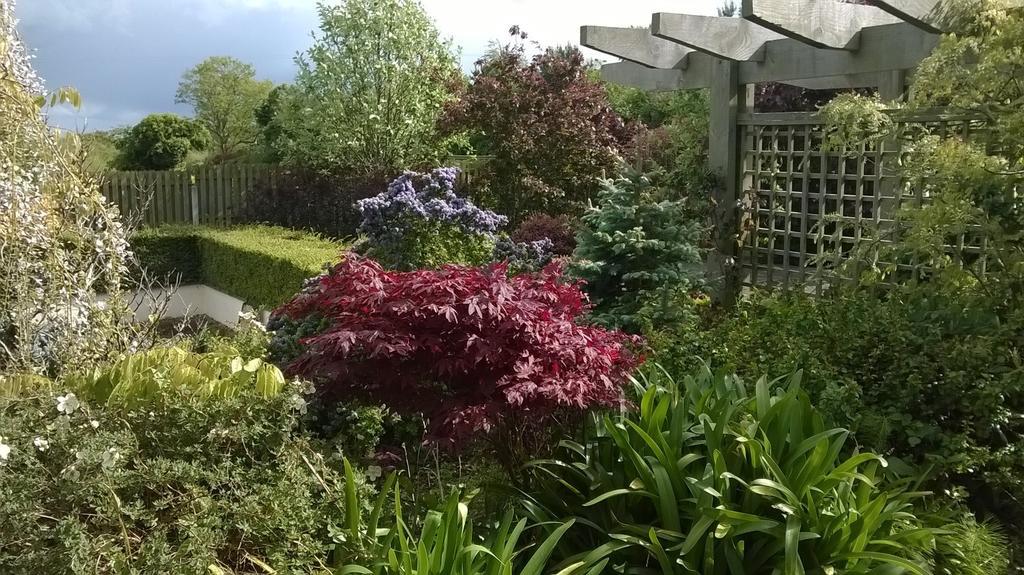 Dunbur Lodge Wicklow Luaran gambar